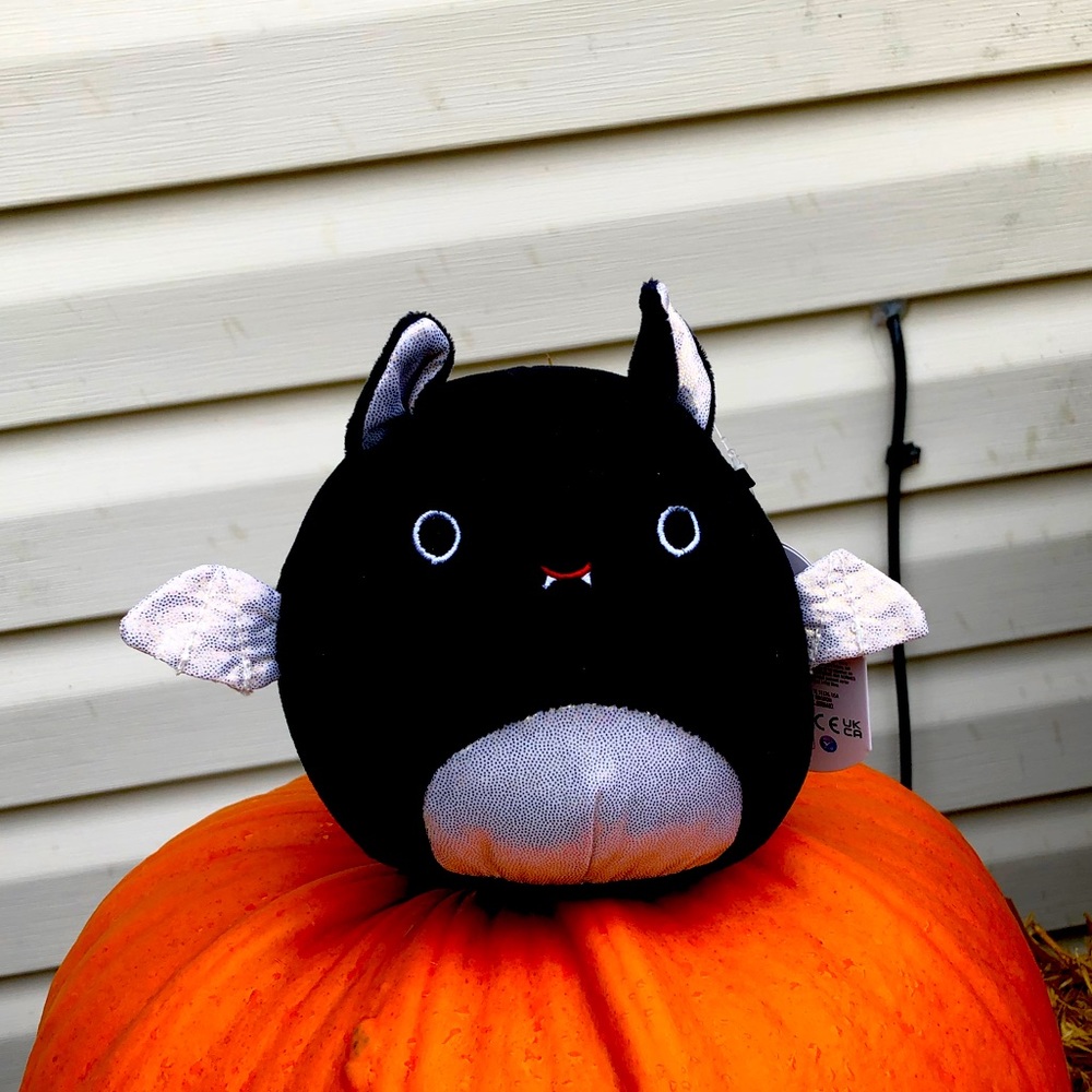 RARE 5” Silver Belly Emily the Bat Squishmallow